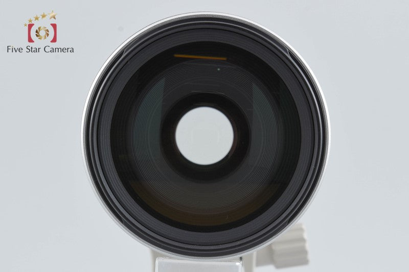 Canon EF 100-400mm f/4.5-5.6 L IS USM