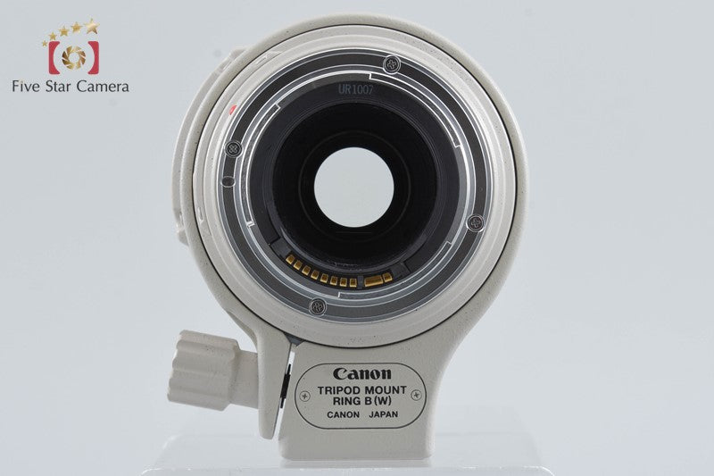 Canon EF 100-400mm f/4.5-5.6 L IS USM