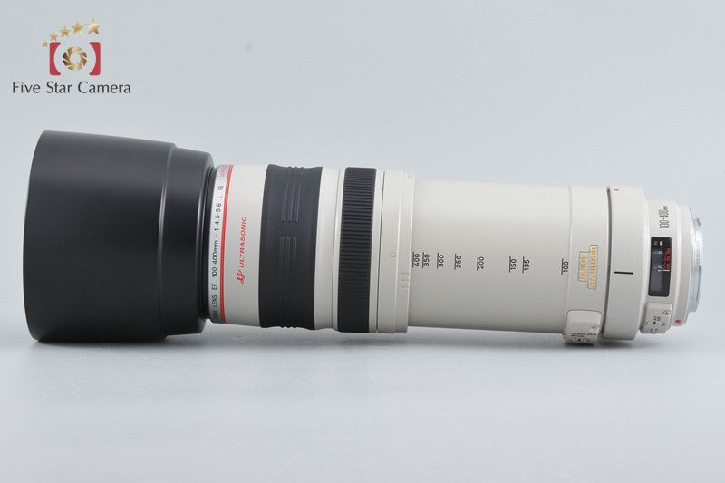Canon EF 100-400mm f/4.5-5.6 L IS USM