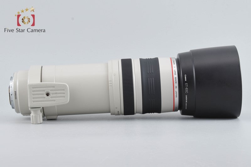 Canon EF 100-400mm f/4.5-5.6 L IS USM