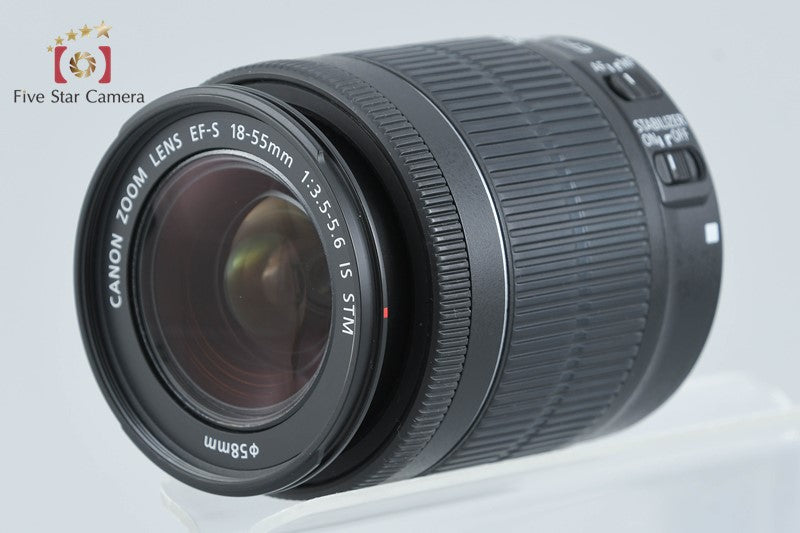 Canon EOS 80D 24.2 MP Digital SLR Camera EF-S 18-55 IS STM Lens