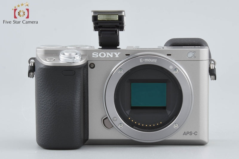 Sony α6000 ILCE-6000 Silver 24.3MP 16-50 55-210 Lenses [Multiple Languages]