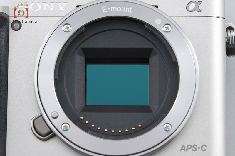 Sony α6000 ILCE-6000 Silver 24.3MP 16-50 55-210 Lenses [Multiple Languages]