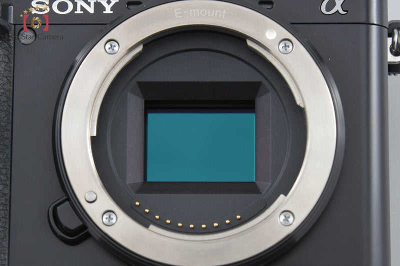 Sony α6100 ILCE-6100 Black 24.2 MP 16-50 55-210 Lenses [Japanese Language Only]