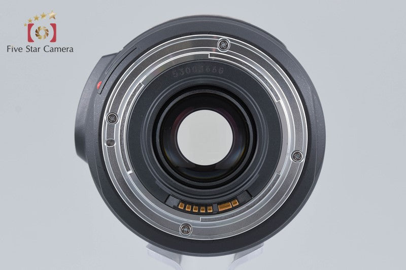 Canon EF 75-300mm f/4-5.6 IS USM