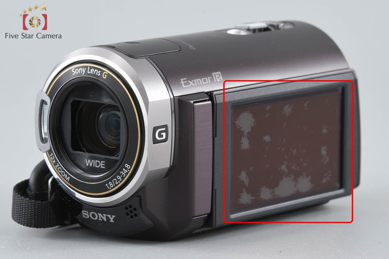 Sony Handycam HDR-CX370V Brown Digital HD Camcorder [Japanese Language Only]