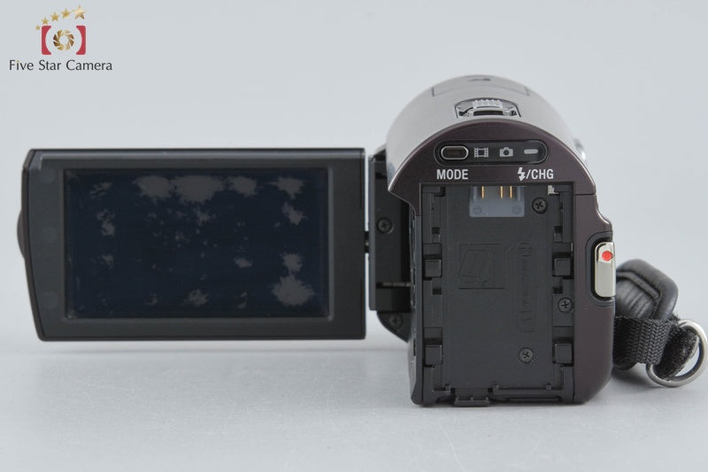 Sony Handycam HDR-CX370V Brown Digital HD Camcorder [Japanese Language Only]