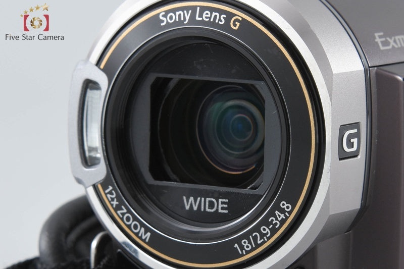 Sony Handycam HDR-CX370V Brown Digital HD Camcorder [Japanese Language Only]