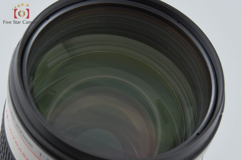 Canon EF 70-200mm f/2.8 L USM