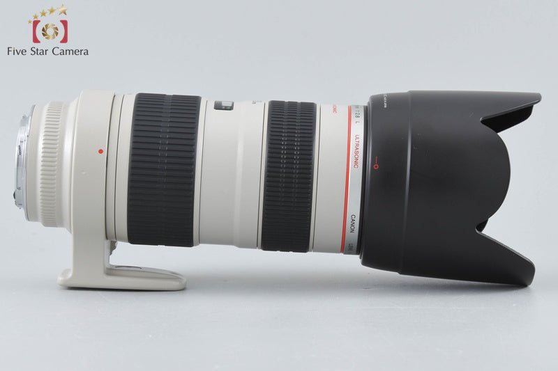 Canon EF 70-200mm f/2.8 L USM