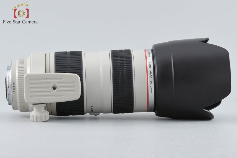 Canon EF 70-200mm f/2.8 L USM