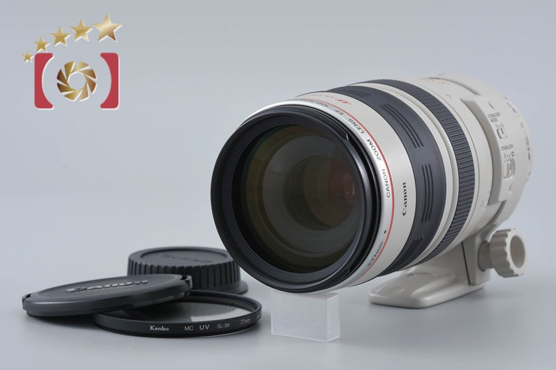 Canon EF 100-400mm f/4.5-5.6 L IS USM