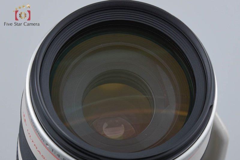 Canon EF 100-400mm f/4.5-5.6 L IS USM
