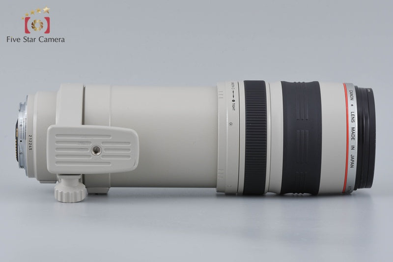 Canon EF 100-400mm f/4.5-5.6 L IS USM