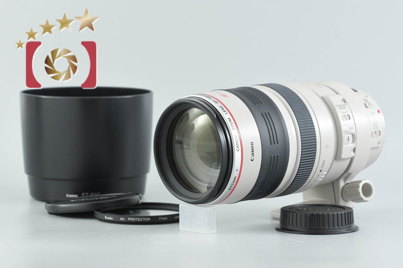 Canon EF 100-400mm f/4.5-5.6 L IS USM