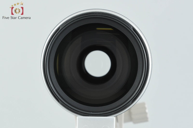 Canon EF 100-400mm f/4.5-5.6 L IS USM
