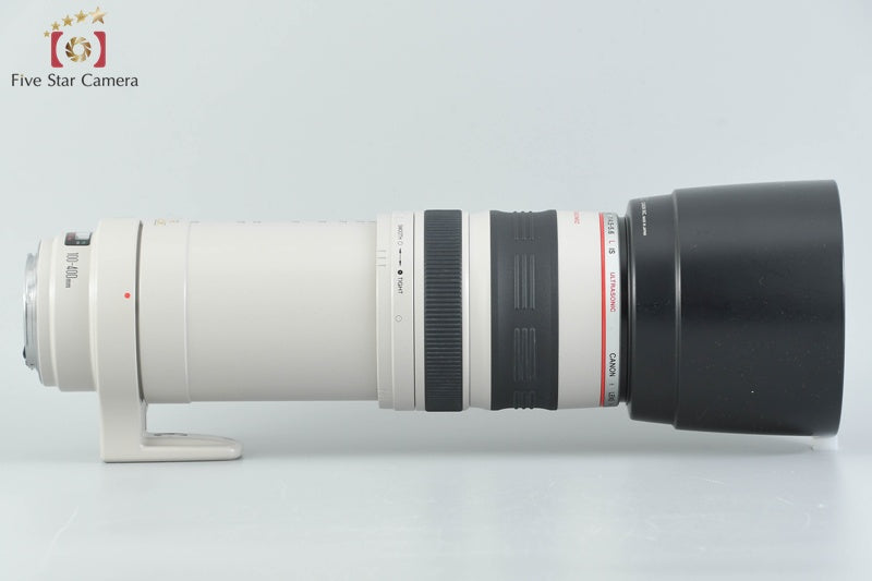 Canon EF 100-400mm f/4.5-5.6 L IS USM