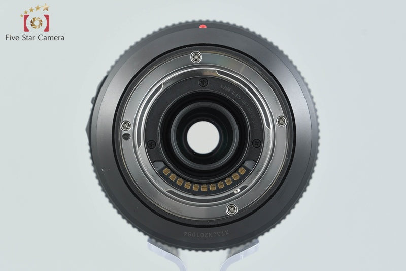 Panasonic LUMIX G VARIO 100-300mm f/4-5.6 POWER O.I.S. H-FSA100300