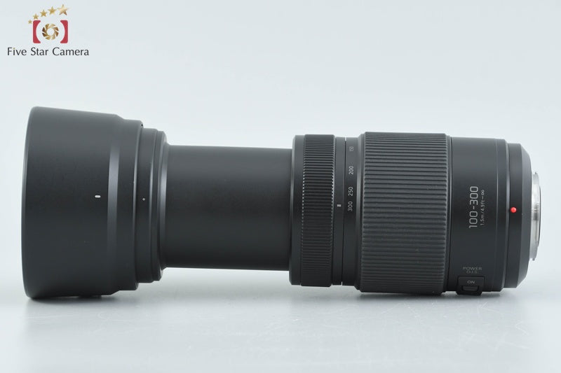 Panasonic LUMIX G VARIO 100-300mm f/4-5.6 POWER O.I.S. H-FSA100300