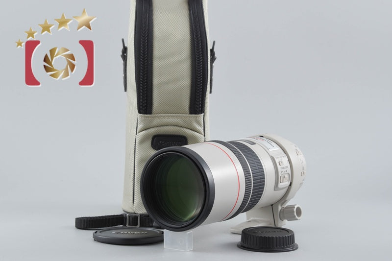 Canon EF 300mm f/4 L IS USM