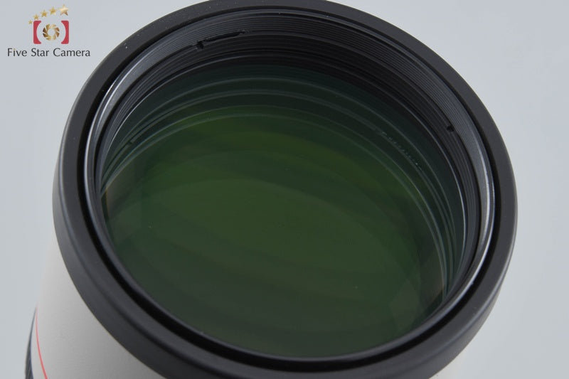 Canon EF 300mm f/4 L IS USM