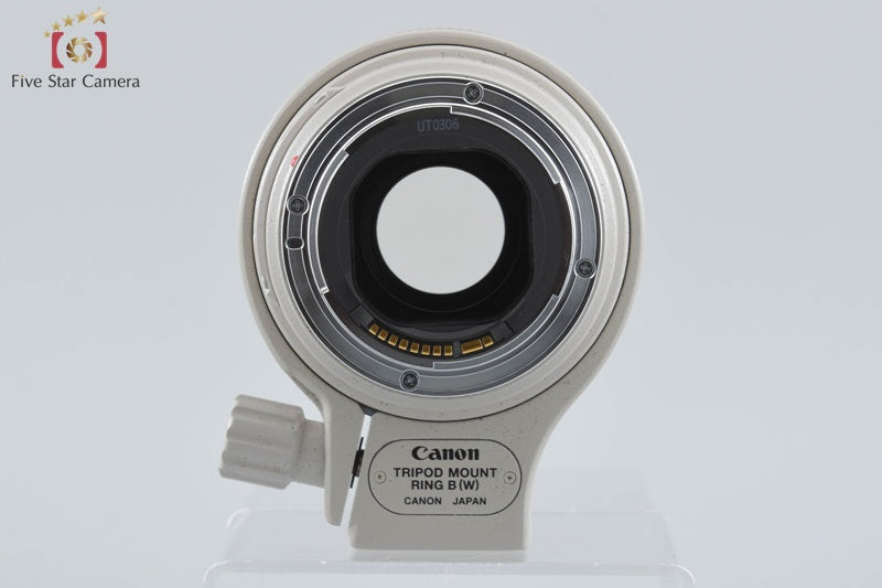 Canon EF 300mm f/4 L IS USM