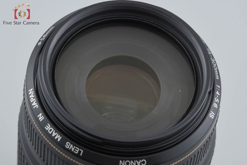 Canon EF 75-300mm f/4-5.6 IS USM
