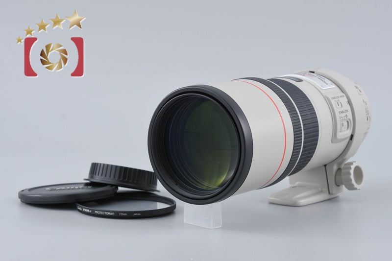 Canon EF 300mm f/4 L IS USM