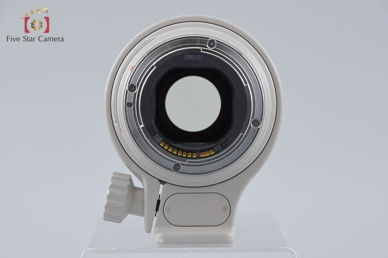 Canon EF 300mm f/4 L IS USM