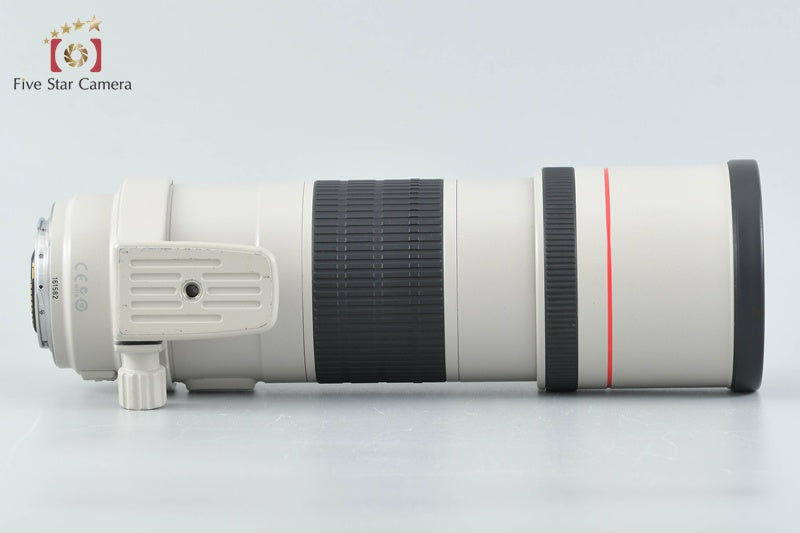 Canon EF 300mm f/4 L IS USM