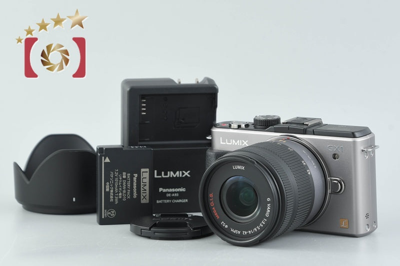 Panasonic LUMIX DMC-GX1 Blade Silver 16.0 MP 14-42 Lens [Japanese Language Only]