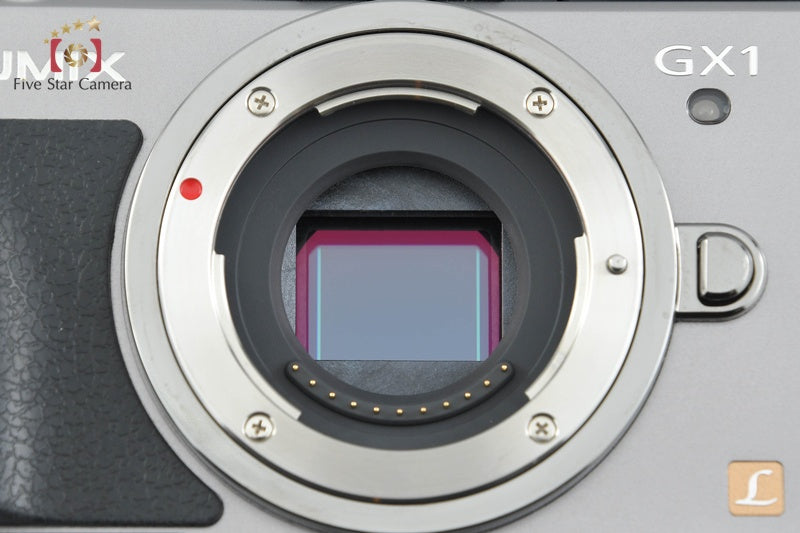 Panasonic LUMIX DMC-GX1 Blade Silver 16.0 MP 14-42 Lens [Japanese Language Only]