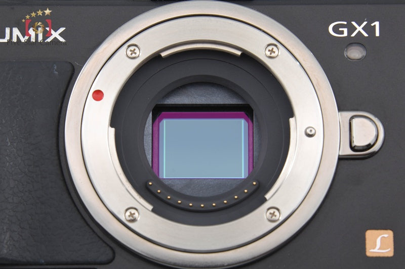 Panasonic LUMIX DMC-GX1 Esprit Black 16.0 MP 14-42 Lens [Japanese Language Only]