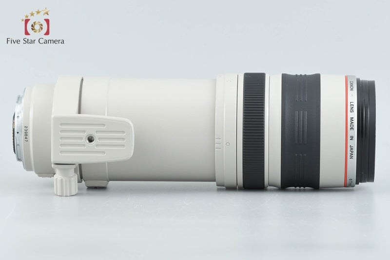 Canon EF 100-400mm f/4.5-5.6 L IS USM
