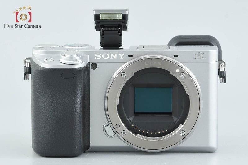 Sony Alpha α6400 ILCE-6400 Silver 16-50 55-210 Lenses [Japanese Language Only]