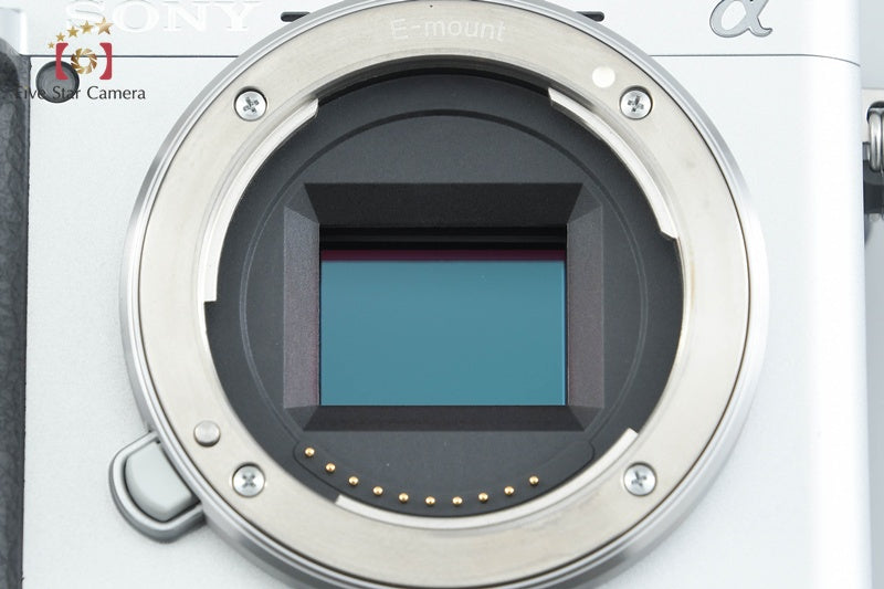 Sony Alpha α6400 ILCE-6400 Silver 16-50 55-210 Lenses [Japanese Language Only]