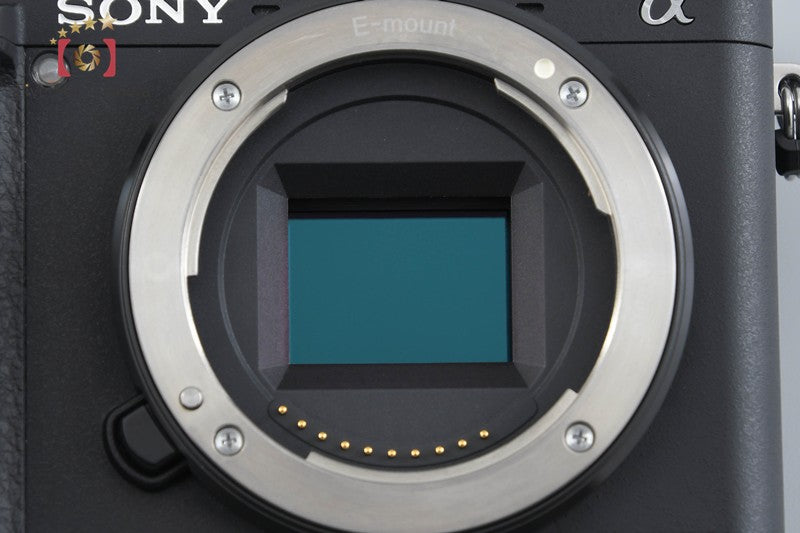 Sony Alpha α6300 ILCE-6300L 24.2 MP 16-50 Lens [Japanese Language Only]