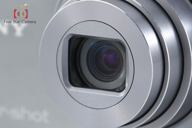 SONY Cyber-shot DSC-WX100 Silver 18.2 MP Digital Camera [Japanese Language Only]