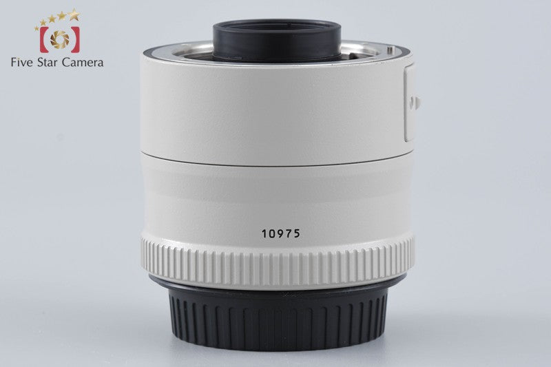 Canon Extender EF 2x II Teleconverter