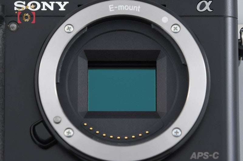 "Count 793" Sony α6000 ILCE-6000 Black 24.3 MP 16-50 Lens [Multiple Languages]