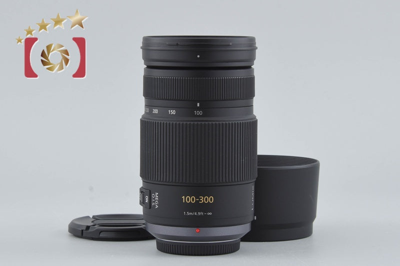 Panasonic LUMIX G VARIO 100-300mm f/4-5.6 MEGA O.I.S. H-FS100300