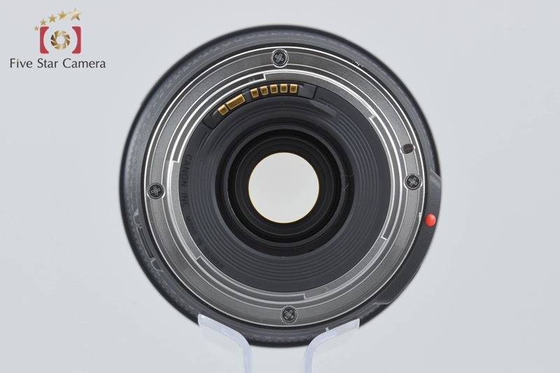 Canon EF 24-105mm f/3.5-5.6 IS STM