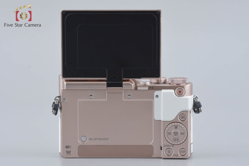 Panasonic LUMIX DC-GF10 White DSLR 12-32 25 Lenses [Japanese Language Only]