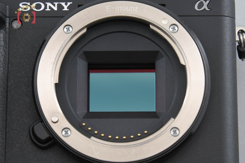Sony Alpha α6400 ILCE-6400 Black 24.2 MP 16-50 Lens [Japanese Language Only]