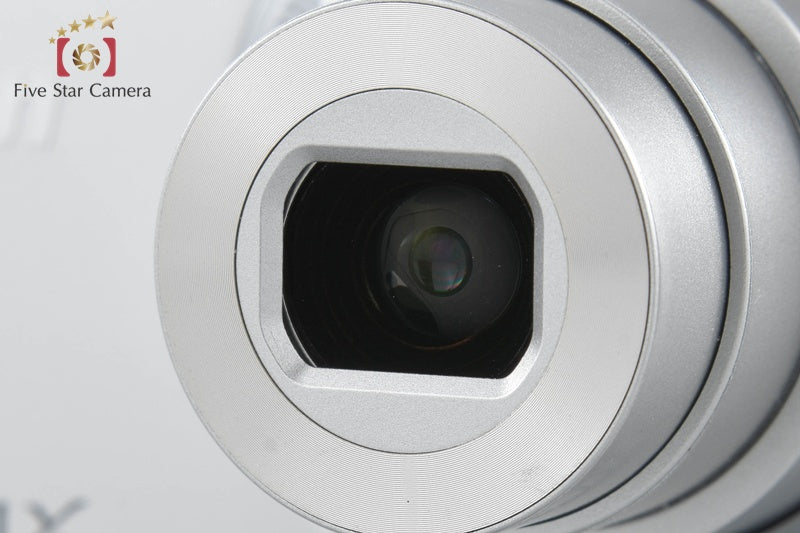 Nikon COOLPIX S2900 Silver 20.1 MP Digital Camera