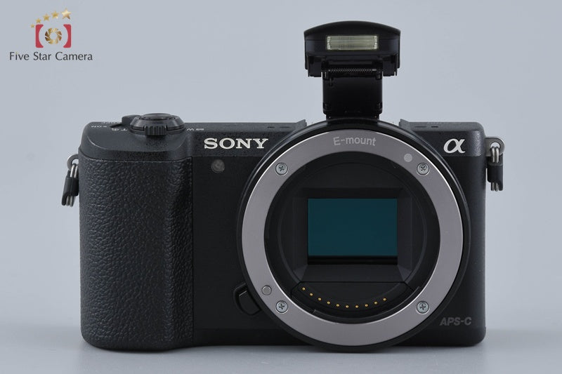 Sony α5100 ILCE-5100 Black 24.3 MP 16-50 55-210 Lenses [Multiple Languages]