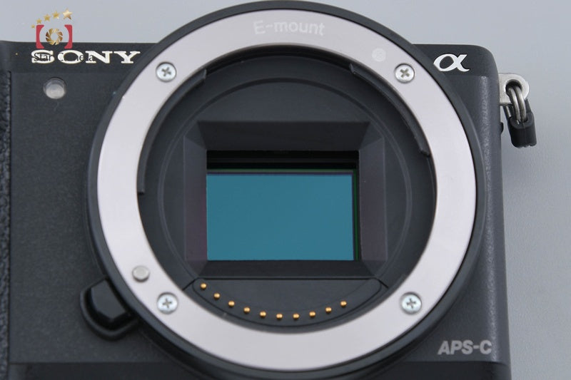 Sony α5100 ILCE-5100 Black 24.3 MP 16-50 55-210 Lenses [Multiple Languages]