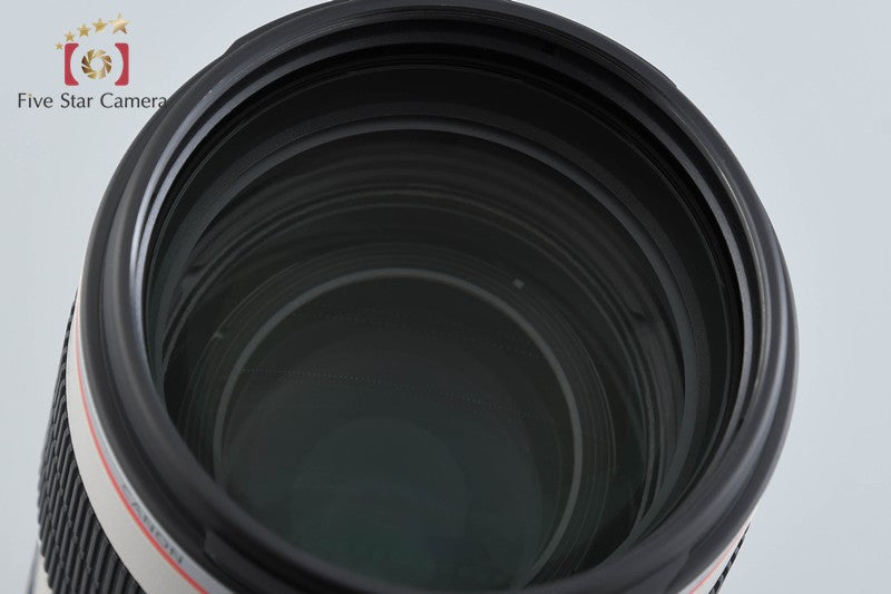 Canon EF 70-200mm f/2.8 L IS II USM