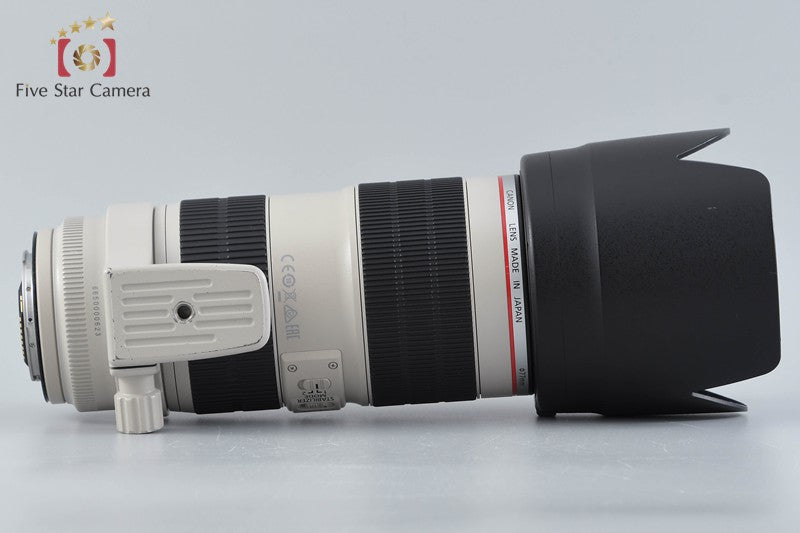 Canon EF 70-200mm f/2.8 L IS II USM