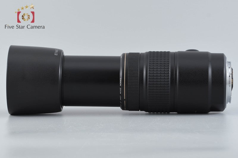 Canon EF 75-300mm f/4-5.6 IS USM
